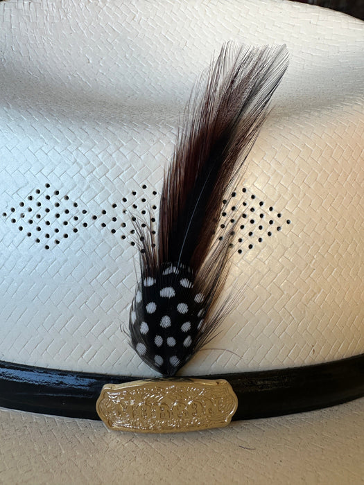 Brown Traditional Feather (Pack of Two)