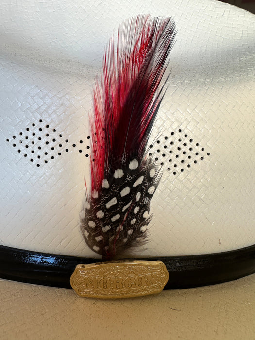 Red Traditional Feather (Pack of Two)
